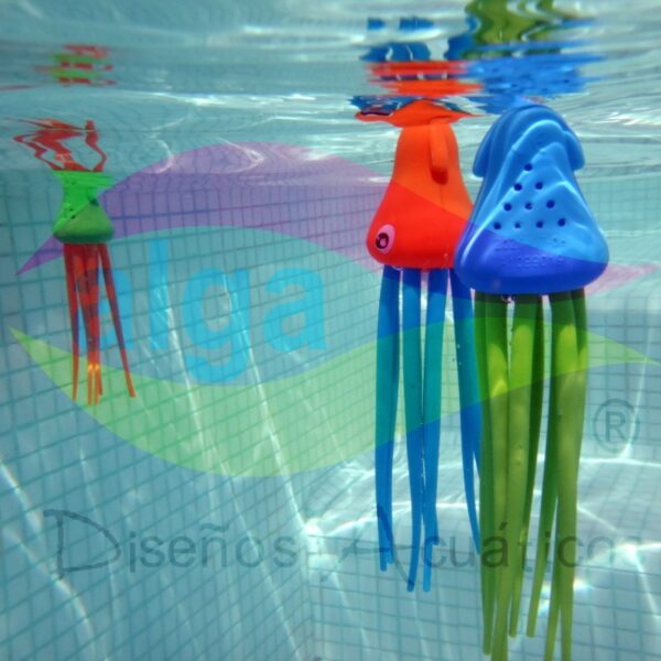 alga-calamares-verticales