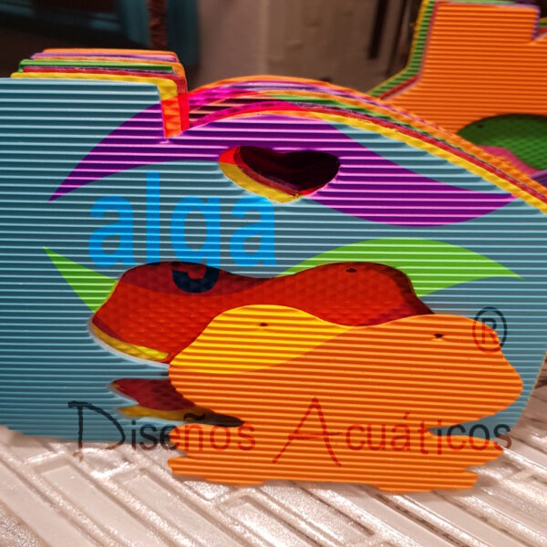 Casita con Rana por unidad